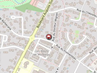 Carte de Vmi à Montaigu