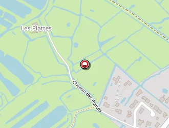 Carte de Giauffret Roger à Bouin