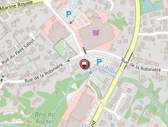 Carte de Fleurs D'ailleurs à Montaigu