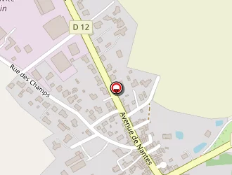 Carte de Espace Terrena à Vieillevigne