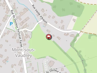 Carte de Bossier Eric à Mont-sous-vaudrey