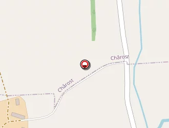 Carte de Felci à Saugy