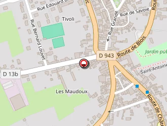 Carte de Le Marginal à Châtillon-sur-indre