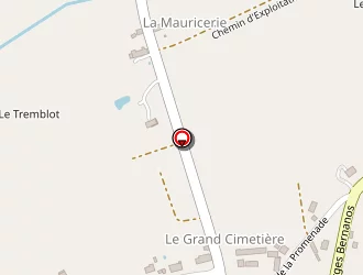 Carte de Duchezeau Michel à Pellevoisin