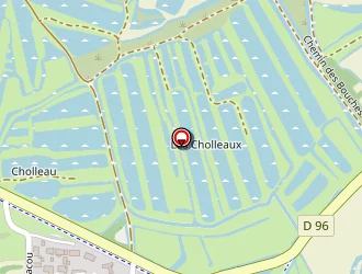 Carte de La Perle à Épine (l')