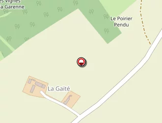 Carte de Stankova Jacky à Levroux