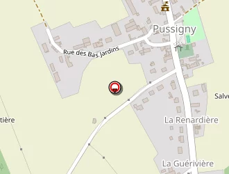 Carte de Masse Gérard à Pussigny