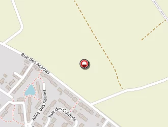 Carte de Allo Toutou à Sainte-radegonde