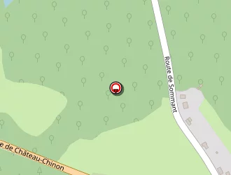 Carte de Strappazzon William à Autun