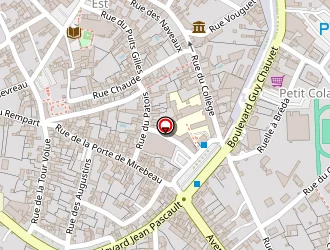 Carte de Lycée Guy Chauvet à Loudun