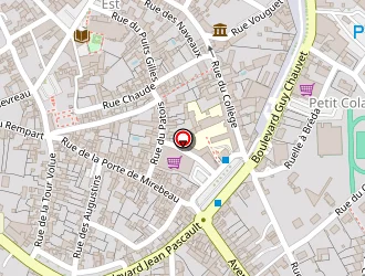 Carte de Renault Delacote à Loudun