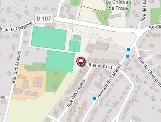 Carte de Age D'or Trucidien à Trouy