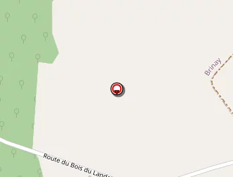 Carte de Pigeot Céline à Brinay