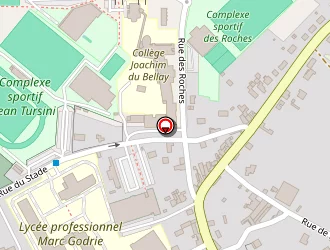 Carte de Robert Jean à Loudun