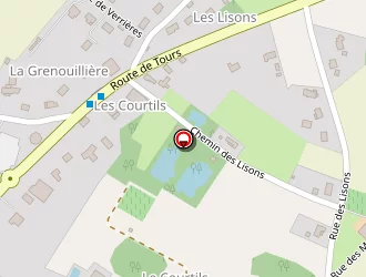 Carte de Pro Et Cie à Chaveignes