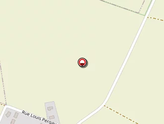 Carte de Tepinier Hervé à Molay