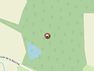 Carte de Terrain De Basket à Torteron