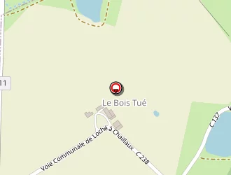 Carte de Jourdain Jacques à Villedômain