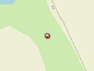 Carte de Druet Alain à Ciran