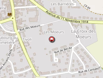 Carte de Génétique Orga Elevage (genoe) à Ligueil