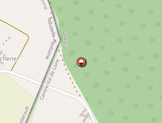 Carte de Chartier Patrice à Champigny-sur-veude