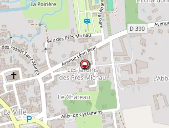 Carte de Nec Services à Ligueil