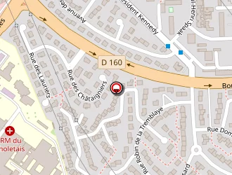 Carte de Martin Louis à Cholet