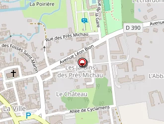 Carte de Zebraction à Ligueil