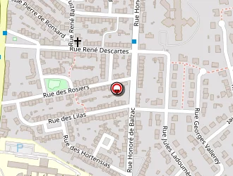 Carte de Biard Cyril à Cholet