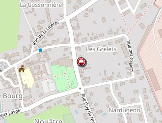 Carte de Masson Didier à Nouâtre