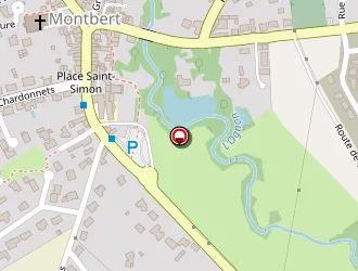 Carte de Matias Joâo à Montbert