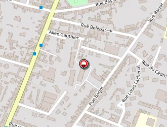 Carte de Anatolia Market à Cholet