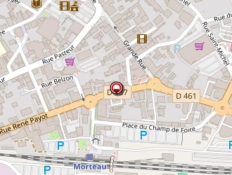 Carte de Contact Hôtel Hôtel Des Montagnards Adhérent à Morteau