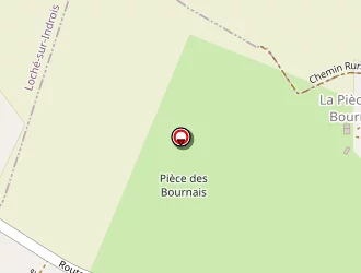 Carte de Mery Roland à Villedômain