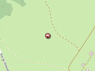 Carte de Binz Auto à Liesle