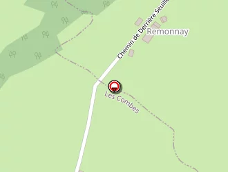 Carte de Caillet Lionel à Combes (les)