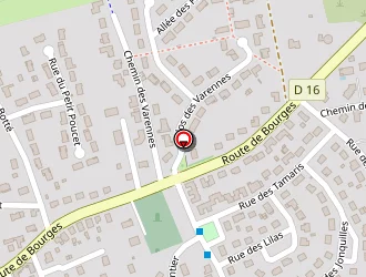 Carte de Allo Dépannage Rapide à Chapelle-saint-ursin (la)