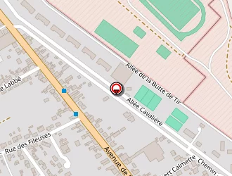 Carte de Sas Alencon Pneus à Bourges