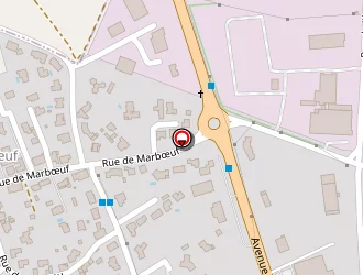 Carte de Litmanova Olga à Geneston