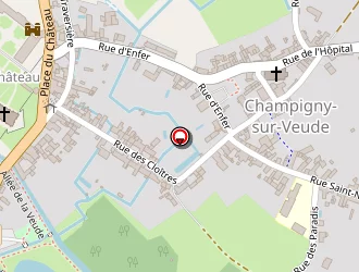 Carte de Cailleau Patrick à Champigny-sur-veude