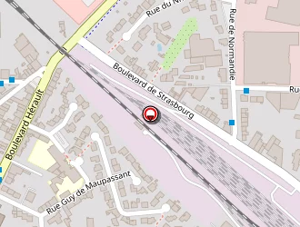 Carte de Cousseau Carole à Cholet