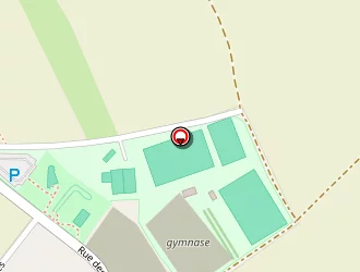 Carte de Complexe Sportif à Ladoix-serrigny