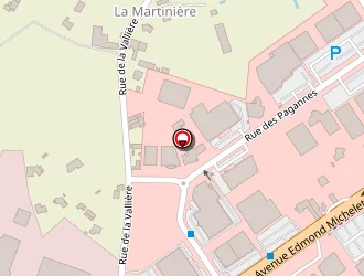 Carte de Action France à Cholet