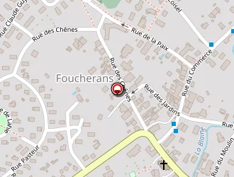 Carte de Bechet Samuel à Foucherans