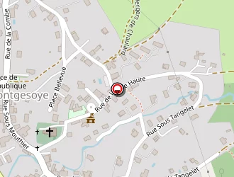 Carte de Foulon Jacky à Montgesoye