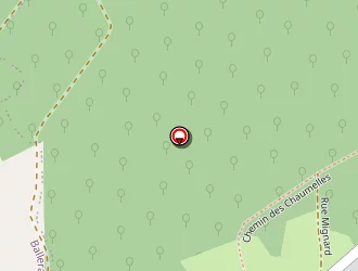 Carte de Château De Nyon à Ourouër