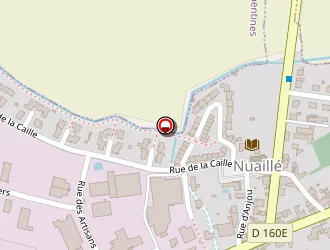 Carte de Frouin à Nuaillé