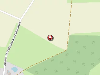 Carte de Action Management à Pornic