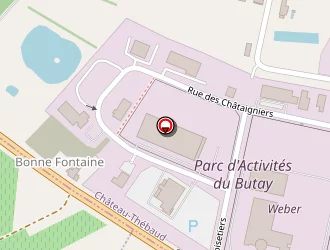 Carte de Procyon à Château-thébaud