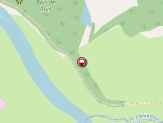 Carte de Billy Joseph à Gorges